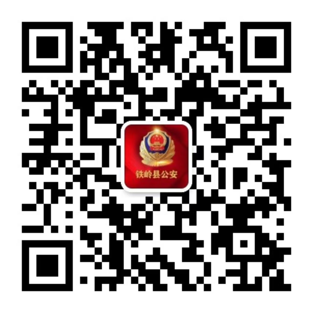 鐵嶺縣公安